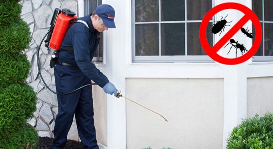 Narman Kemirgen İlaçlama böcek ilaçlama ve haşere kontrolü — ilaclama-tr.com